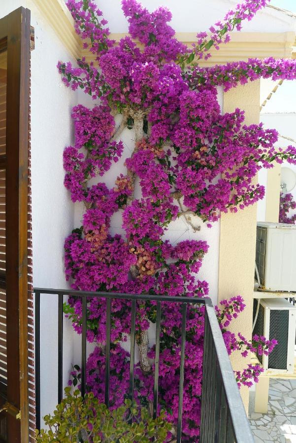 Los Amarguillos Sunny Coastal 1 Bed Apartment - Vera Coast: 2Mins To Beach מראה חיצוני תמונה